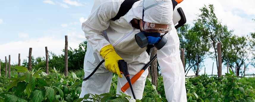 El Ayuntamiento de Almonacid oferta un curso homologado de manipulador de fitosanitarios